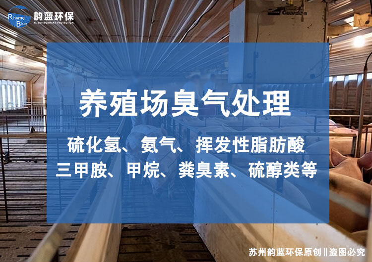 如何解決養(yǎng)豬場臭味(圖1)